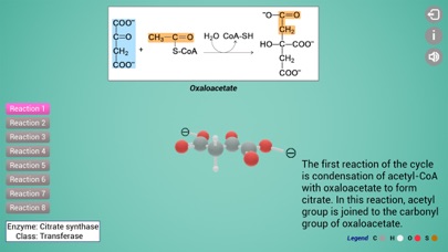 Biomolecules: Cell respiration Screenshot