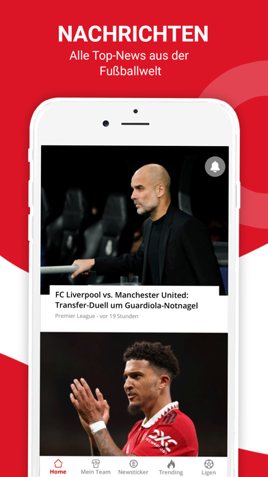 Fussball Europa Screenshot