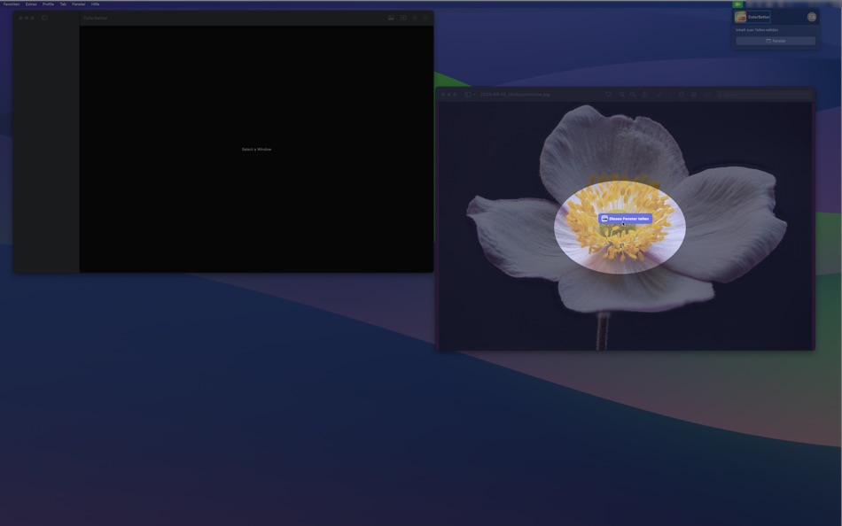 #2. ColorSettor (macOS) 由: Bernd Meinhold