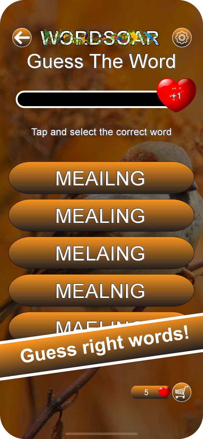 Word Soar - Fun Puzzle Game