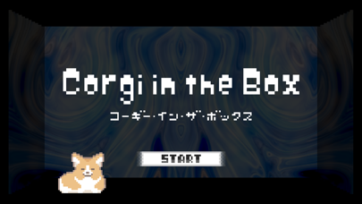 Corgi in the Box Screenshot