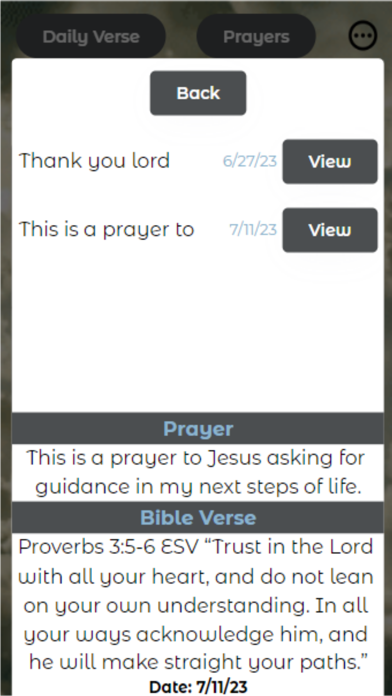 Screenshot #2 pour Pray and See