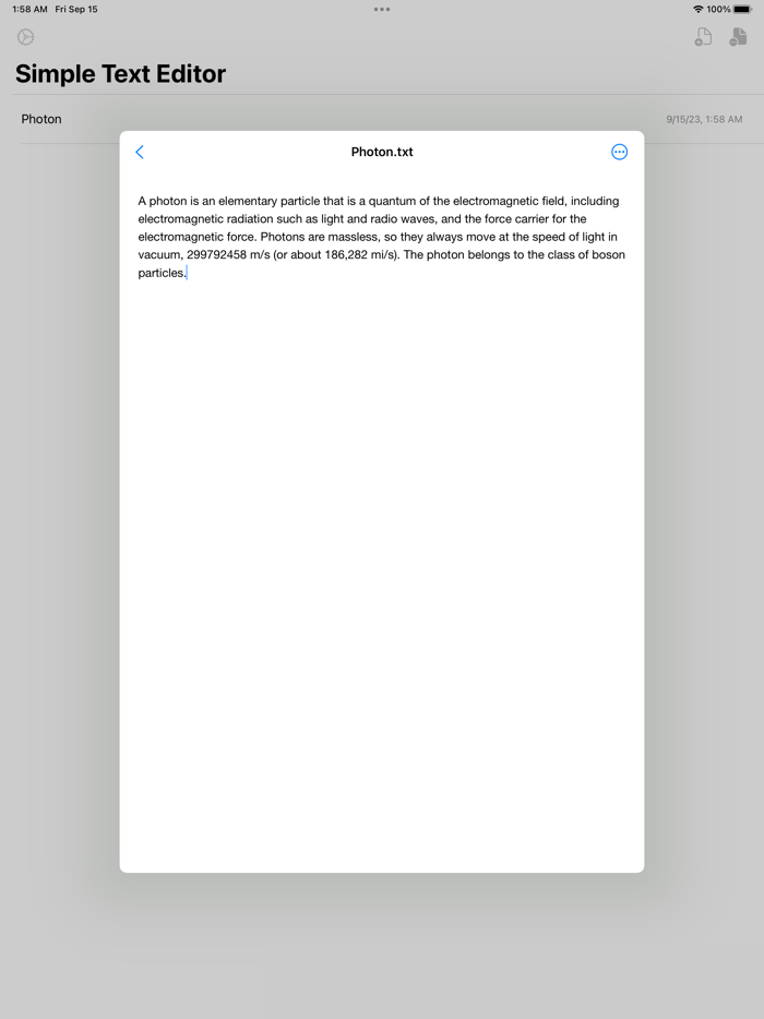 STE Simple Text Editor