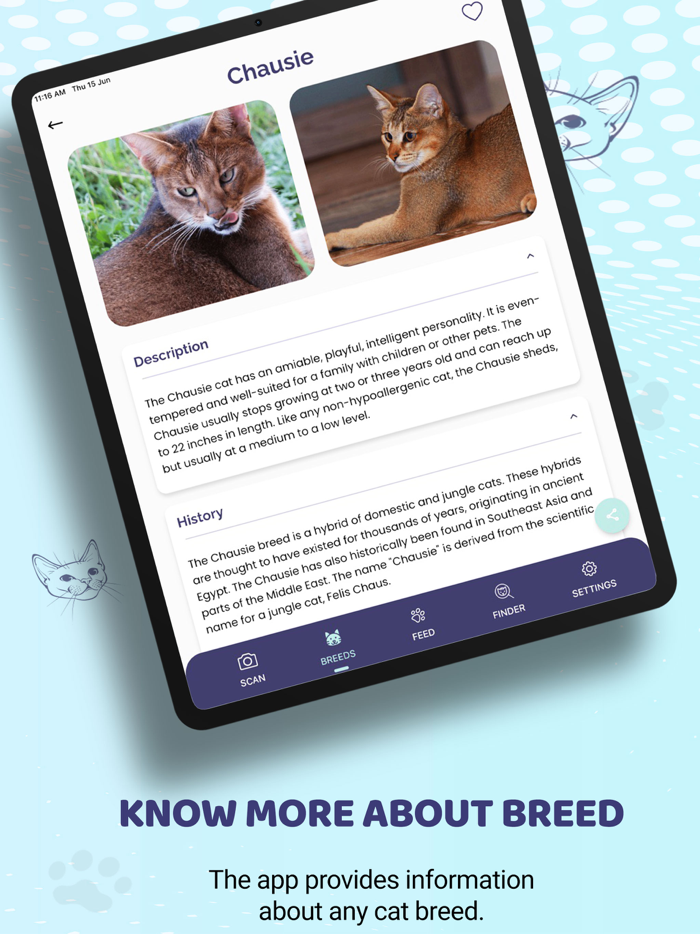 Cat Identifier AI Cat Scanner