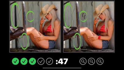Image Hunt Spot the Difference Screenshot