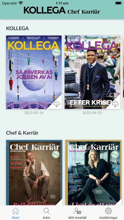 Kollega och Chef & karriär