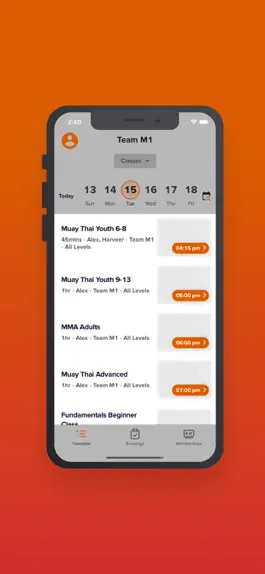 Game screenshot Team M1 hack
