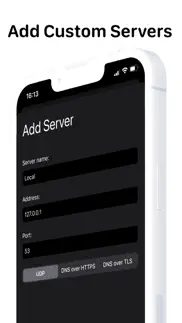 dns client iphone screenshot 4