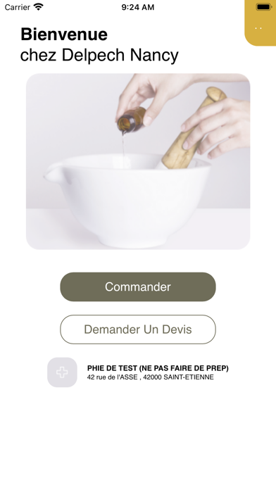 Pharmacie Delpech Nancy Screenshot