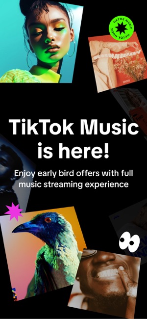 MP3 Tik - Music Professional - TikTok