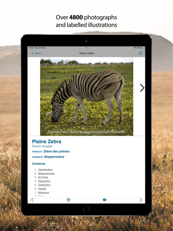 Screenshot #6 pour Stuarts’ African Mammals