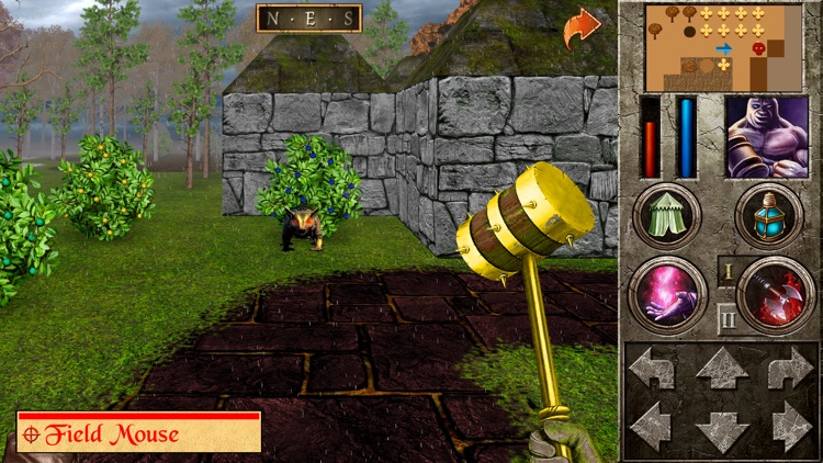 The Quest - Ragnar's Revenge screenshot-4