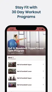 stability ball workouts iphone screenshot 3