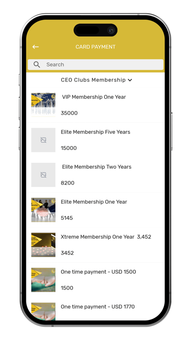 CEO Clubs Screenshot