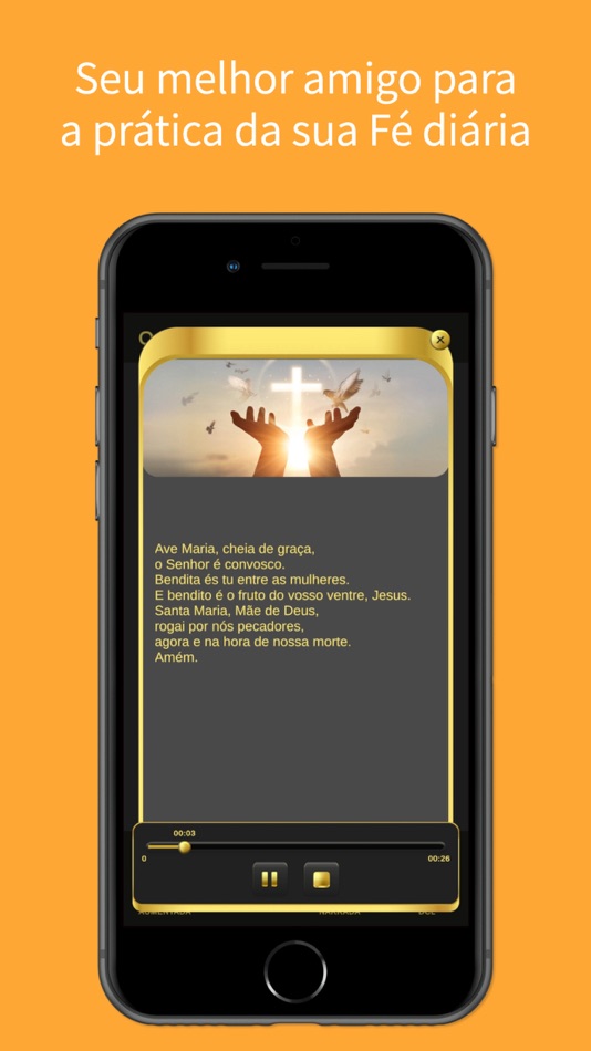 #2. Biblia DCL (iOS) 由: Editora DCL