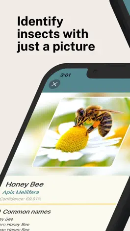 Game screenshot AI Insect Identification mod apk