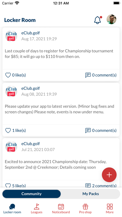 eClubgolf Screenshot