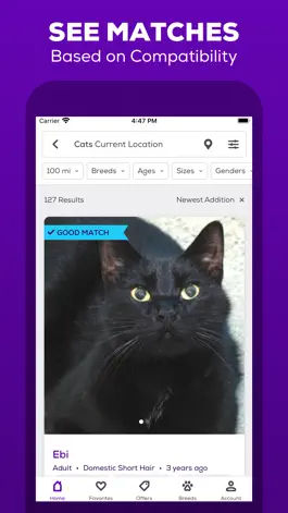 Game screenshot Petfinder - Adopt a Pet apk