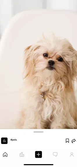 Game screenshot Pollop mod apk