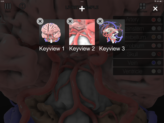 LIVRET  3D Model Viewer