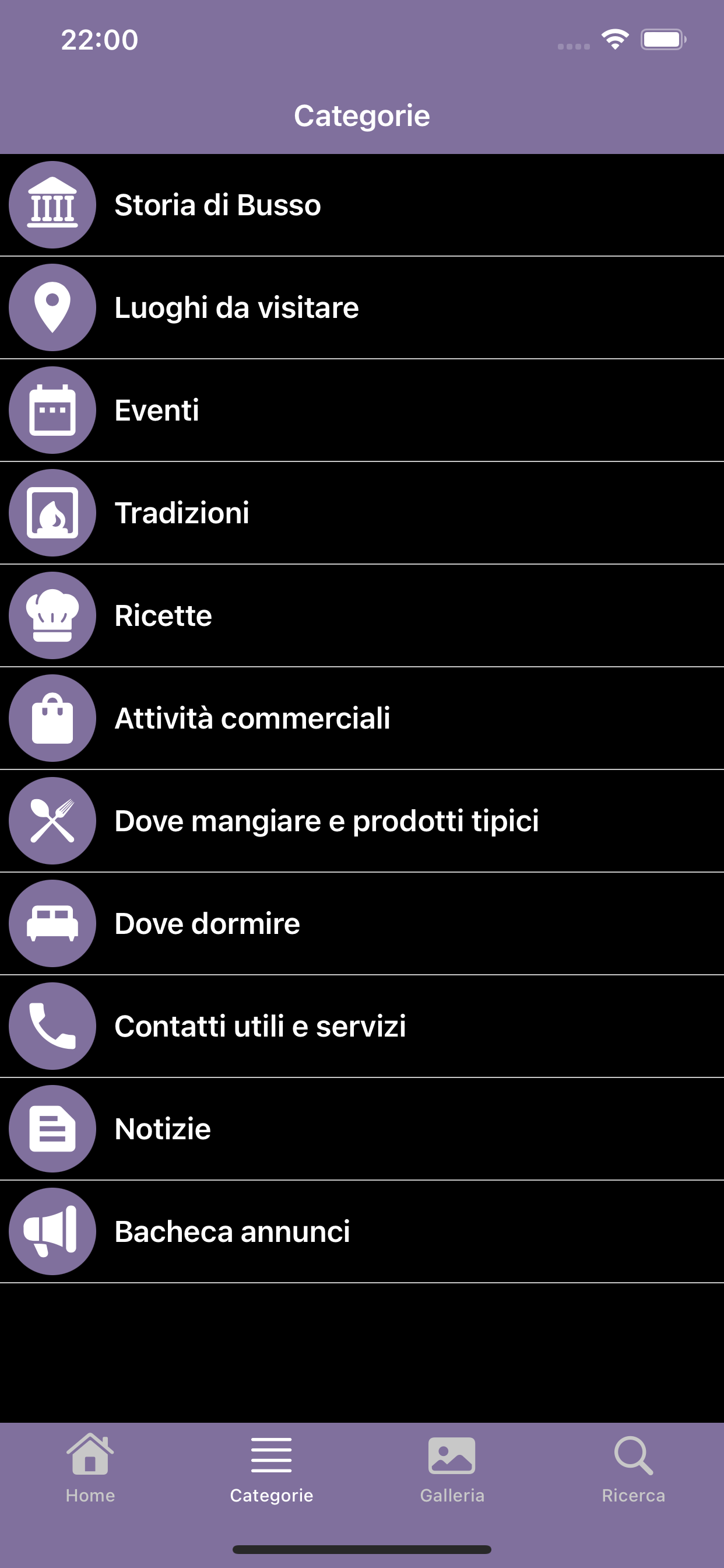 ViviBusso