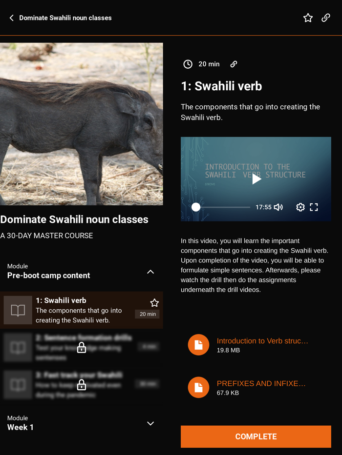 LSN SWAHILI FOR HOAMIs