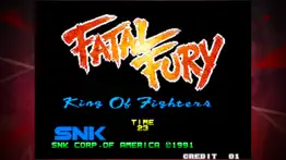 fatal fury aca neogeo problems & solutions and troubleshooting guide - 2