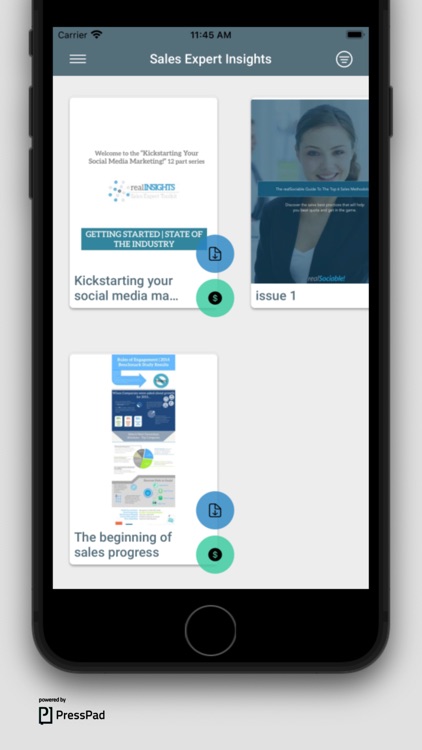 Sales Expert Insights