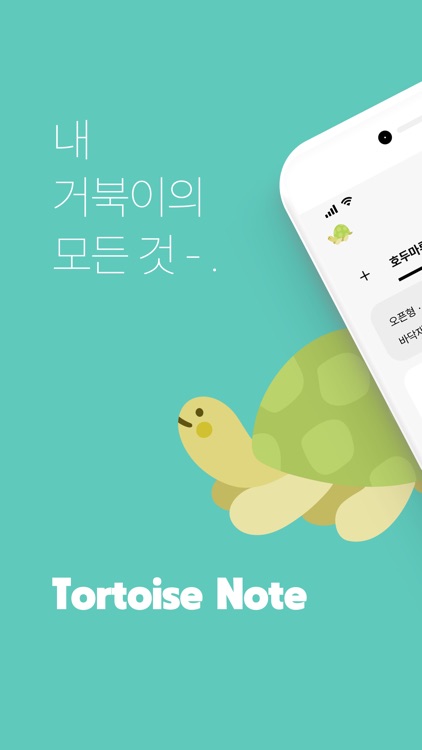 tortoise note