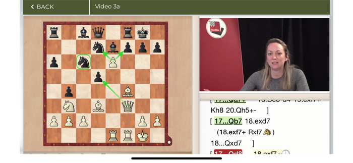 Making decisions in chess