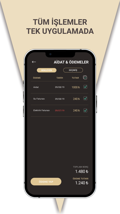 Pruva Screenshot