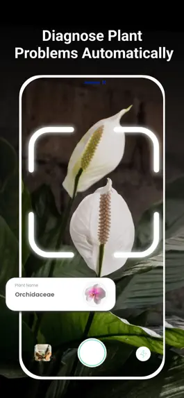 Game screenshot Plant Doctor:Disease Diagnosis apk