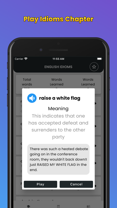English Idioms & Slang Phrases Screenshot