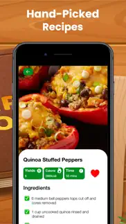 healthy recipes - low calorie iphone screenshot 2