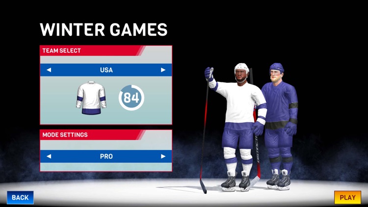 Hockey All Stars screenshot-3