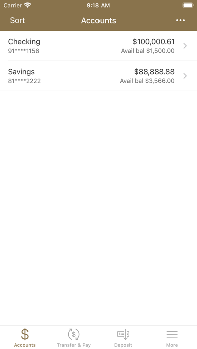 The Piedmont Bank Screenshot