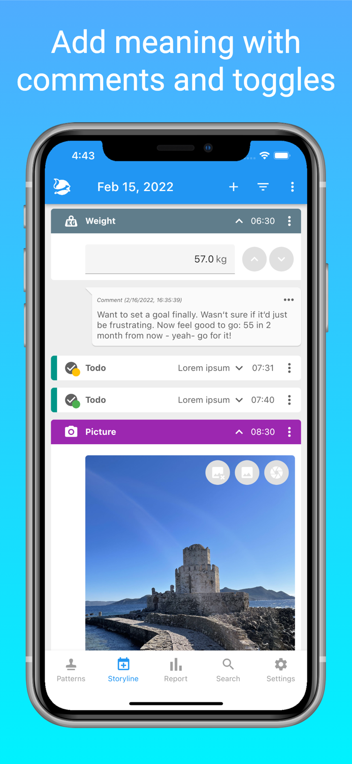 Nuggets - Structured diary