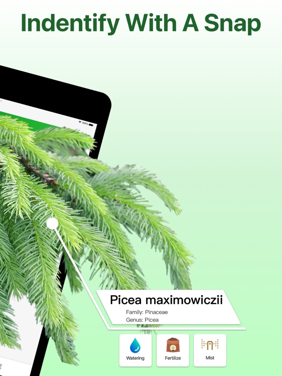 What Kind Of Plant Is This iPad screenshot 2 - Education app