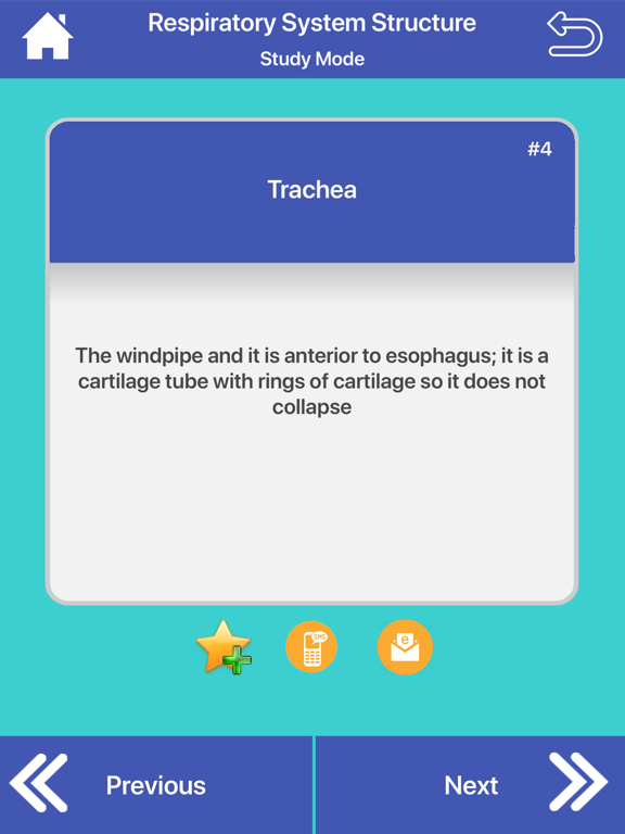 Screenshot #6 pour Respiratory System Flashcards