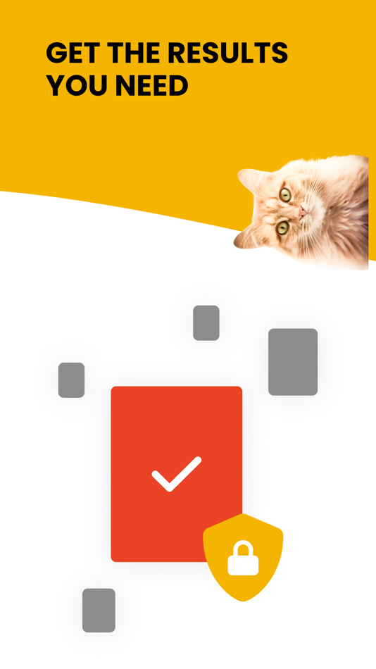 #3. Cheerie (iOS) 由: S-Class Media Pty Ltd