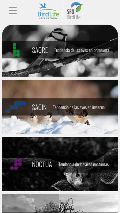 Seguimiento SEO Birdlife Screenshot
