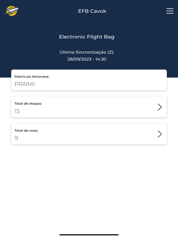 Screenshot #5 pour EFB Cavok