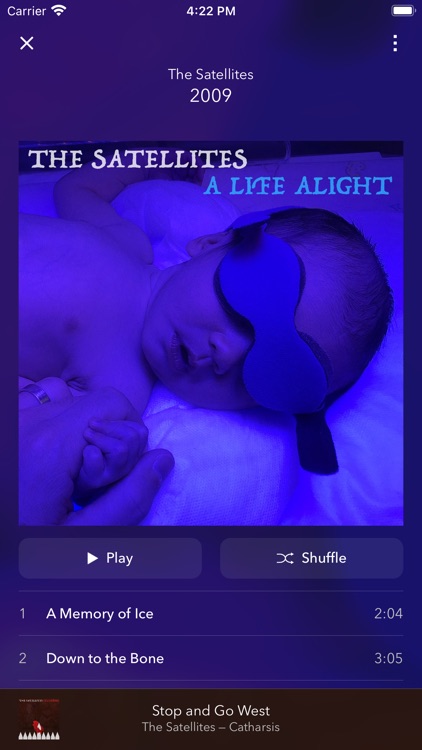 TapTunes screenshot-3