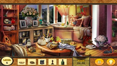 Mystery of The HIDDEN OBJECTS Screenshot