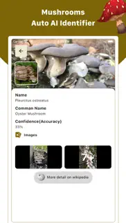mushroom id : identifier, scan iphone screenshot 2
