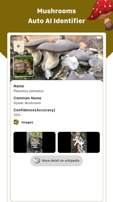 Screenshot #2 pour Mushroom ID : Identifier, Scan