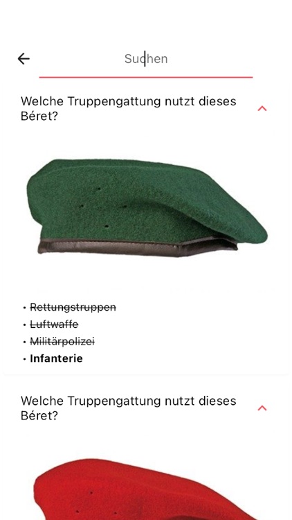 Dienstgrade Schweizer Armee screenshot-6