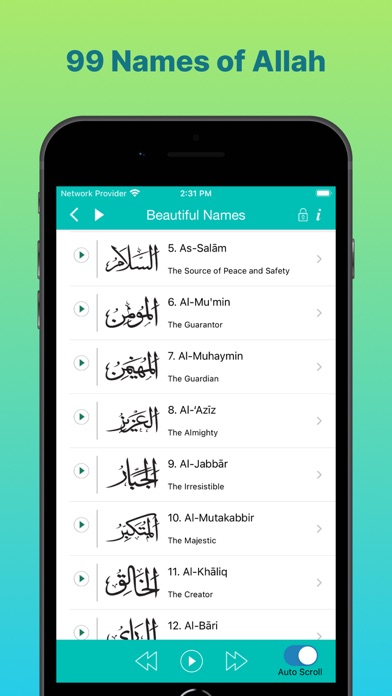 Islam Pro: Quran Prayer Qibla Screenshot