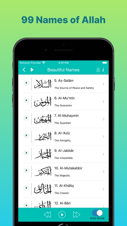 Islam Pro: Quran Prayer Qibla screenshot-5