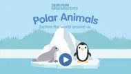 Learn Polar Animals for kids iphone bilder 0